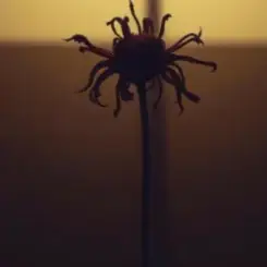 Neytan - Welcome to my mind слушать онлайн