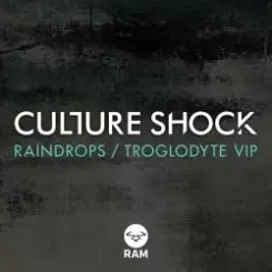 Culture Shock - Raindrops слушать онлайн