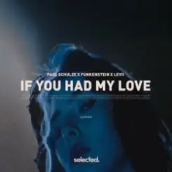 Paul Schulze & FÜNKENSTEIN & LEVII - If You Had My Love слушать онлайн