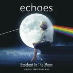 Echoes - Shine on you crazy diamond слушать онлайн