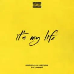 Эндшпиль feat. TumaniYO - It's My Life слушать онлайн