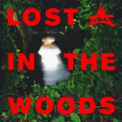 Elderbrook & Adriatique - Lost In The Woods слушать онлайн