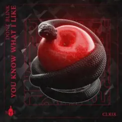 Dont Blink - YOU KNOW WHAT I LIKE слушать онлайн