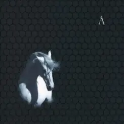 Аквариум - Анютины Глазки и Божьи Коровки слушать онлайн