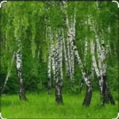 Дмитрий Романов & Инна Улановская - Родные края слушать онлайн