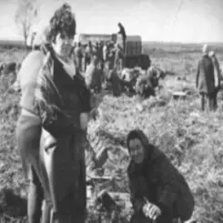 AGROBOGER - Голова колгоспу слушать онлайн