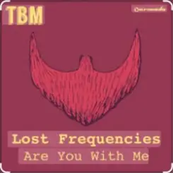 Lost Frequencies - Are You With Me слушать онлайн