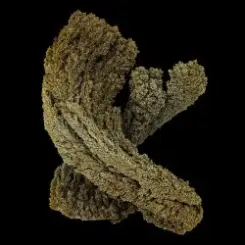 Max Cooper - Waves слушать онлайн