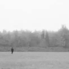 Обложка EKKSTACY - i walk this earth all by myself