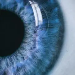 Vibfy - Dont Fade Away слушать онлайн