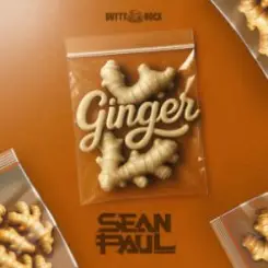 Sean Paul - Ginger слушать онлайн