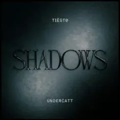 Tiesto & Undercatt - Shadows слушать онлайн