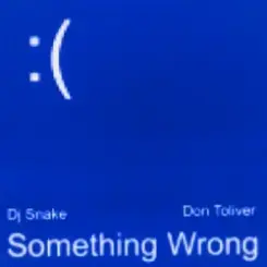 DJ Snake & Don Toliver - Something Wrong слушать онлайн