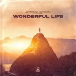 K3YN0T3 & T3CHN0T3 - Wonderful Life слушать онлайн