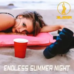 ELIGOR - Endless Summer Night слушать онлайн