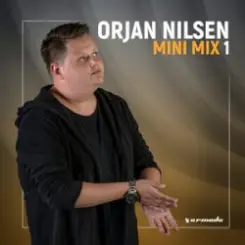 Orjan Nilsen - The Late Anthem (Way Too Late Mix) слушать онлайн