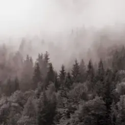 Y.K. Music - У Тумані слушать онлайн