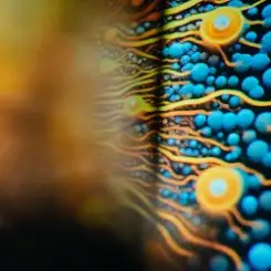 Joris Voorn - Tomorrow слушать онлайн