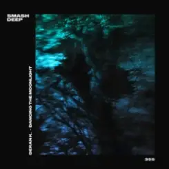 Deran K. - Dancing The Moonlight слушать онлайн