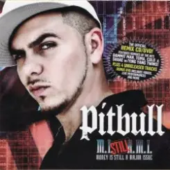 Pitbull ft. Lil' Flip - Dammit Man (Remix) слушать онлайн