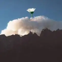 25/17 & Ёлка - Любовь во время чумы слушать онлайн