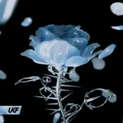 Synergy & RIENK - Stay слушать онлайн