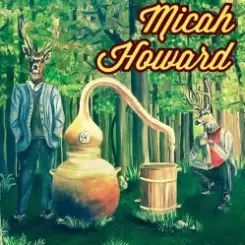 Micah Howard - Bird's Eye View слушать онлайн