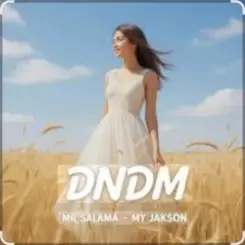 Mr Salama, DNDM - My Jakson слушать онлайн