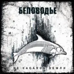 Беловодье - Далекая слушать онлайн