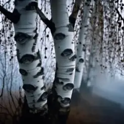 Mojangel - Ах, берёзка моя слушать онлайн