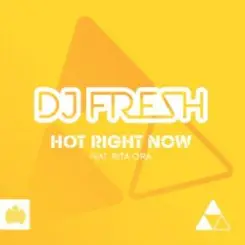 DJ Fresh Ft. Rita Ora - Hot Right Now (Redroche Remix) слушать онлайн