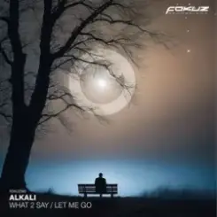 Alkali. - What 2 Say слушать онлайн