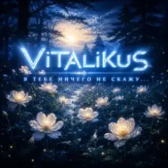 ViTaLiKuS - Я тебе ничего не скажу… слушать онлайн