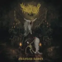 Dollhaver - Spitting Moths слушать онлайн
