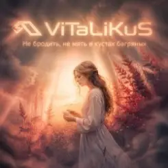 ViTaLiKuS - Не бродить, не мять в кустах багряных… слушать онлайн