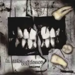 In Strict Confidence - Burning Angel (Biopsy Remix) слушать онлайн