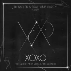 DJ Bahler & Frail Limb Purity - Highs & Lows слушать онлайн