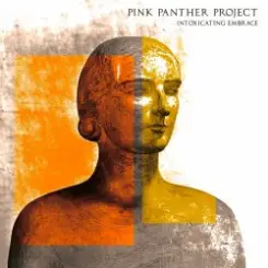 Pink Panther Project - Warriors слушать онлайн