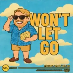 Tollef - Won't Let Go слушать онлайн