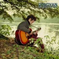 Donovan - Hi, It's Been A Long Time слушать онлайн