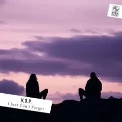 V.O.P. - I Just Can't Forget слушать онлайн