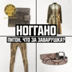Ноггано - Питон, что за заварушка слушать онлайн