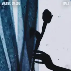 VOLB3X & Siadou - Dale слушать онлайн