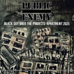 Public Enemy - Cmon Get Down слушать онлайн