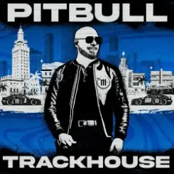 Pitbull feat. Elvis Crespo - Suave слушать онлайн