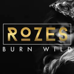 Rozes - Desirable слушать онлайн