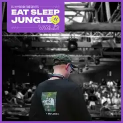 DJ Hybrid - Jungle Man слушать онлайн
