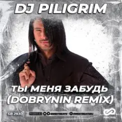 Dj Piligrim - Ты меня забудь слушать онлайн
