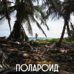 Dima Sneg - Полароид (Remix) слушать онлайн