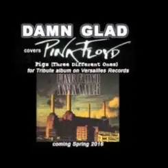 DAMN GLAD - Pigs слушать онлайн